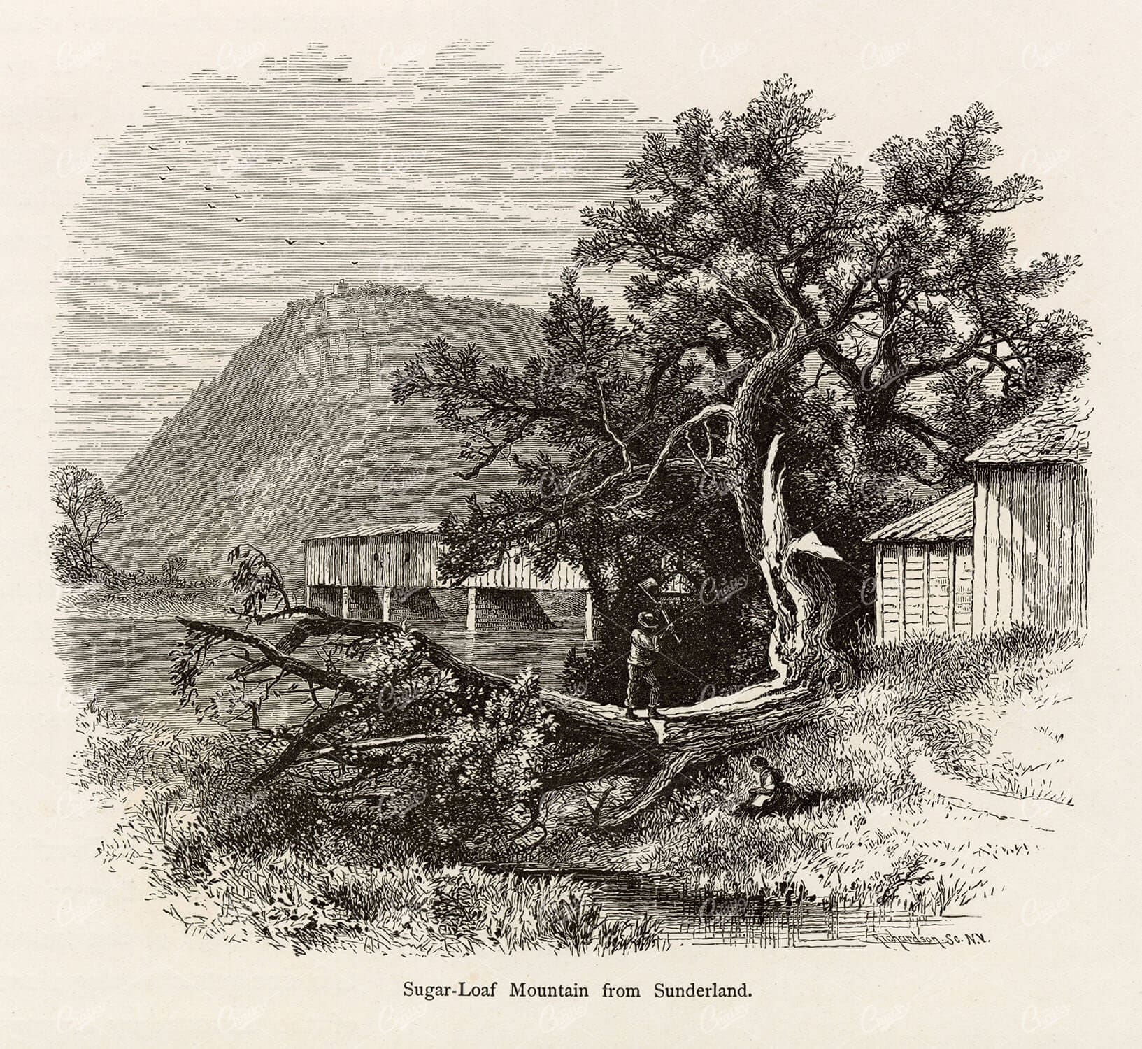 MASSACHUSETTS - Sugar-Loaf Mountain from Sunderland - 1874 America