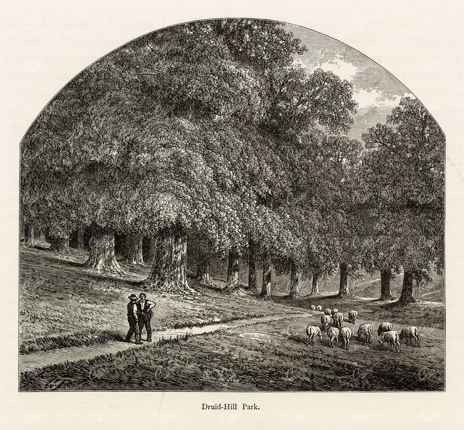 BALTIMORE, Maryland - Druid Hill Park 1874 Antique American Print