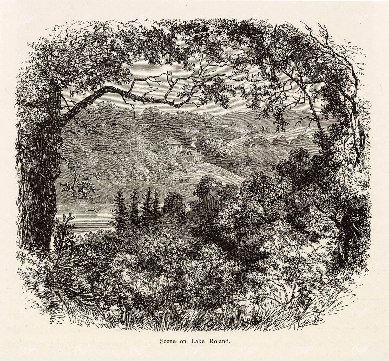 MARYLAND Reservoir - Scene on Lake Roland - America 1874