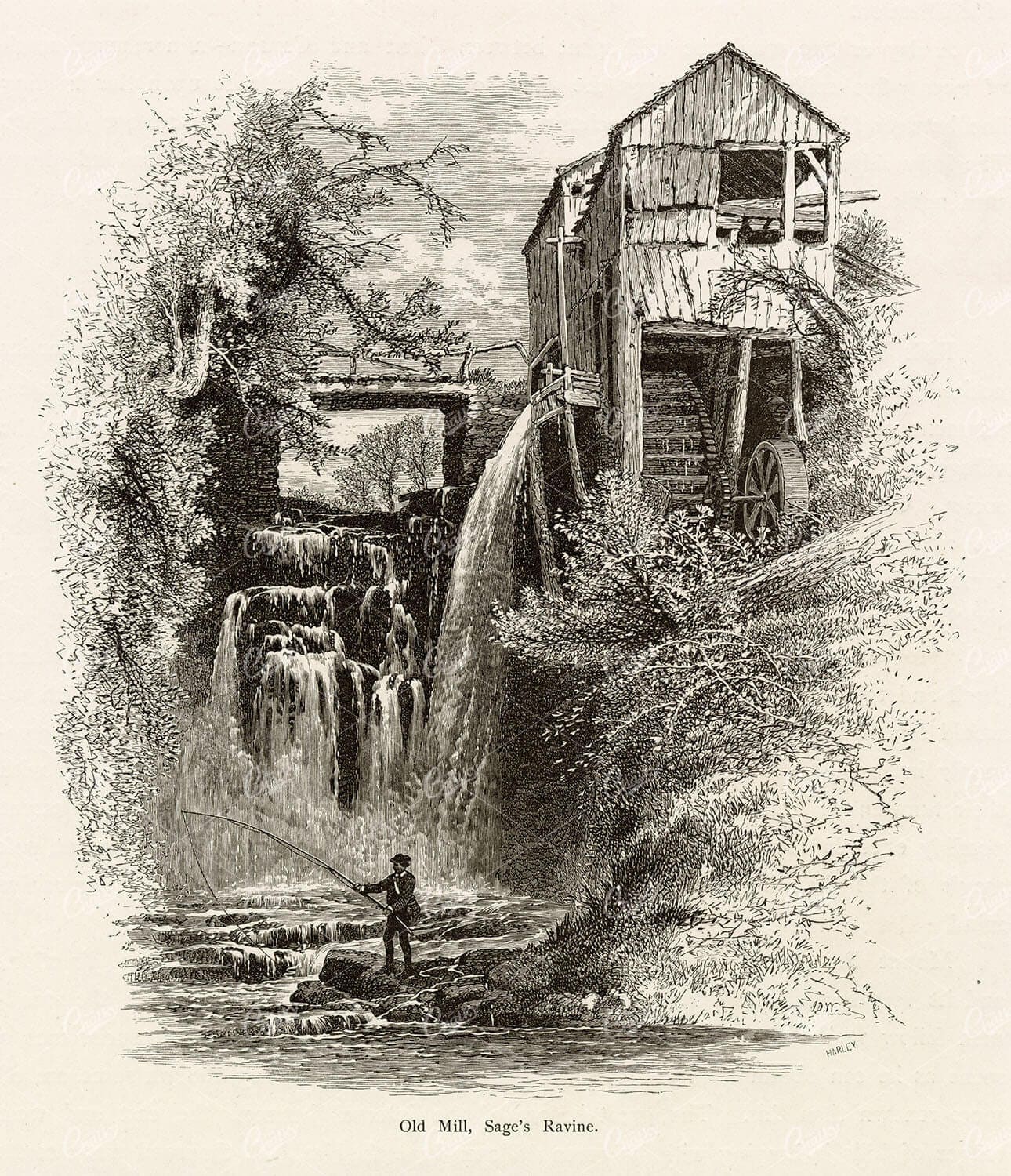 CONNECTICUT - Old Mill, Sage's Ravine - Antique American Print 1874