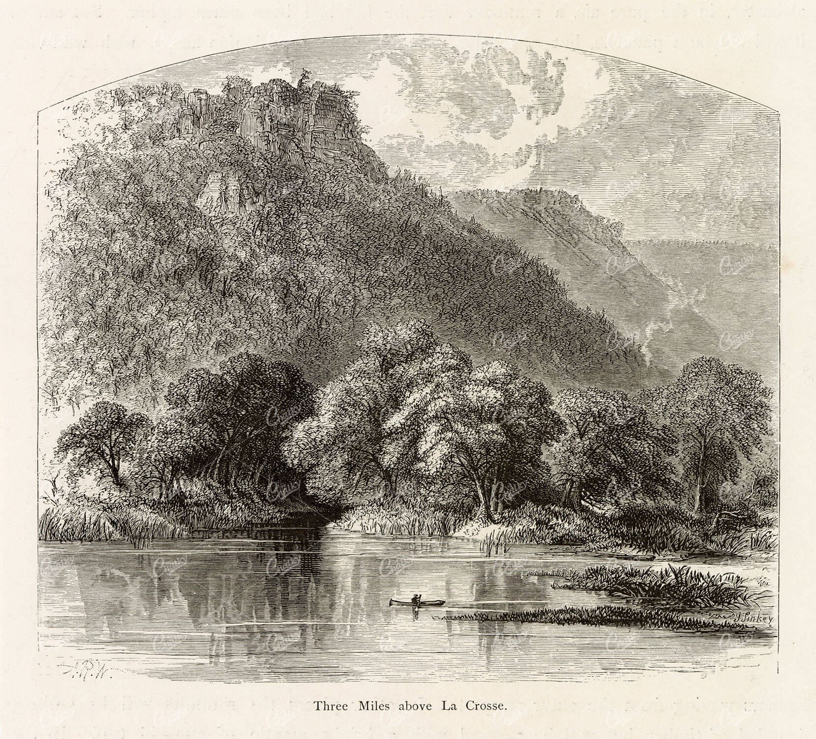 WISCONSIN - Three Miles above La Crosse River - American Landscape 1874