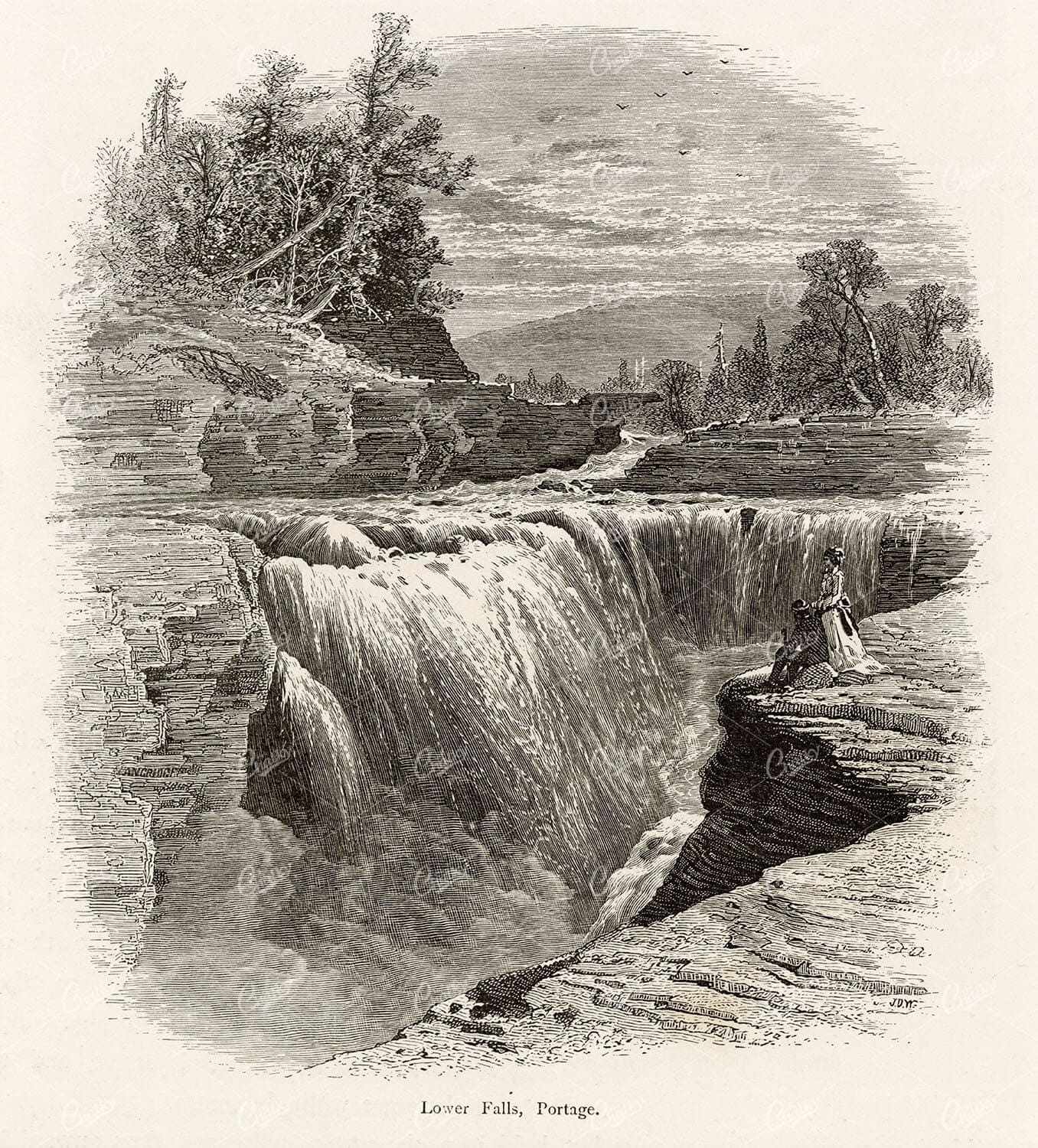 NEW YORK - Lower Falls, Portage - Picturesque America 1874 Engraving