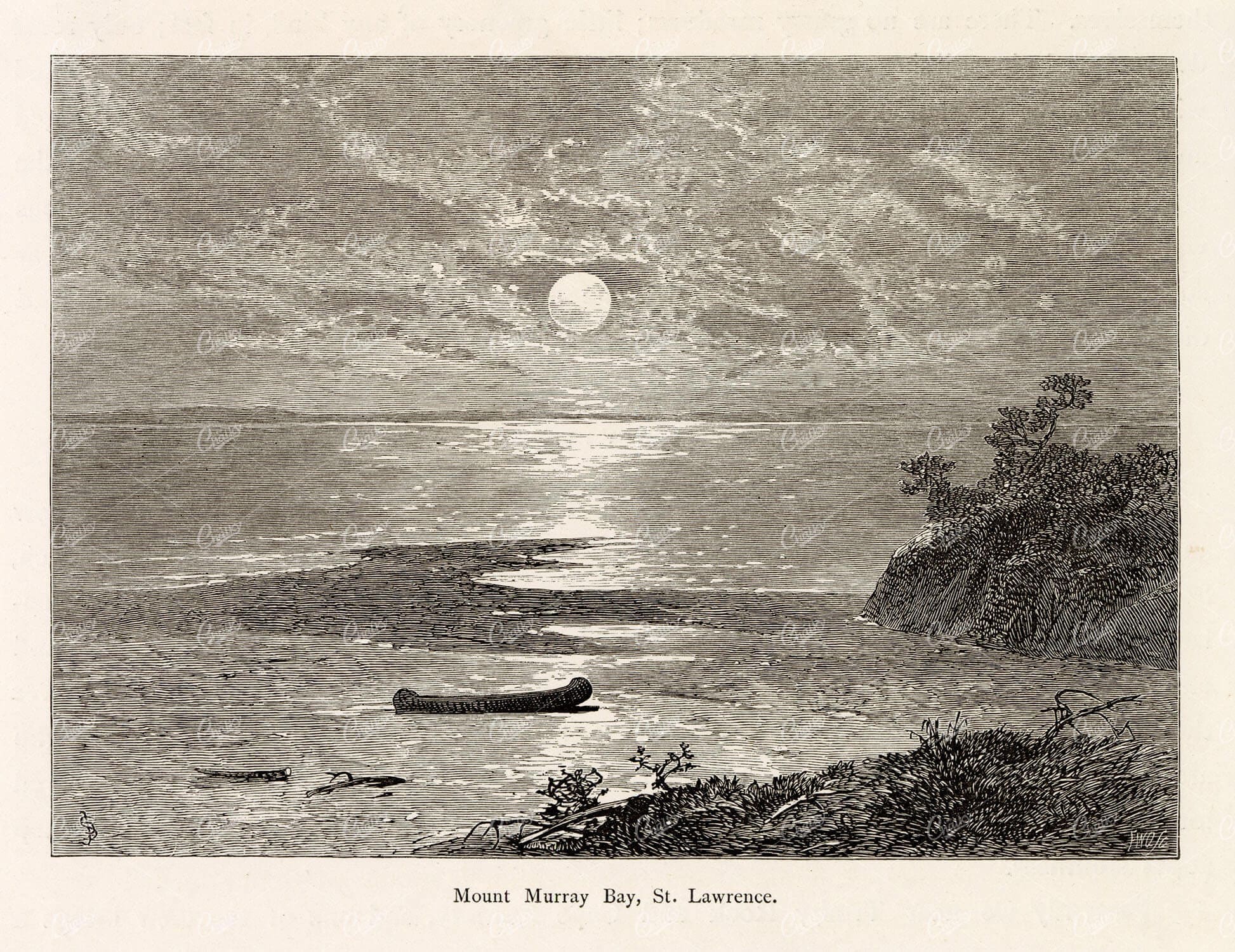 QUEBEC - Mount Murray Bay, St. Lawrence. Canoe Antique Print 1874