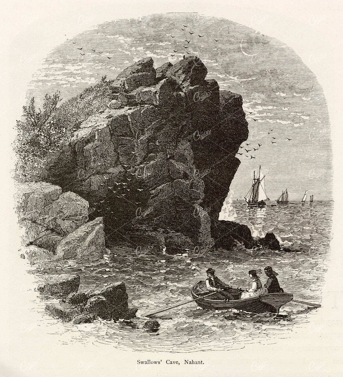 MASSACHUSETTS - Swallows' Cave, Nahant - Antique American Print 1874