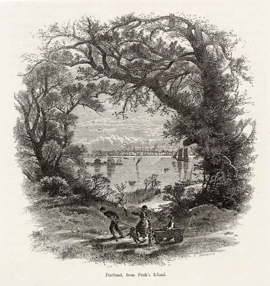 VIEW OF PORTLAND from Peak's Island - Picturesque America 1874 Print