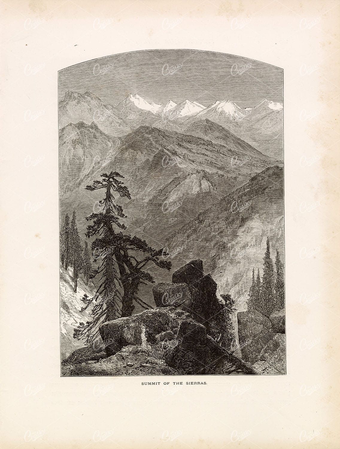NEVADA - Summit of the Sierra Mountains - 1874 American Landscape