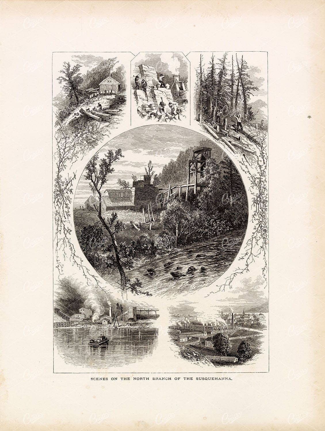 SUSQUEHANNA River - Scenes on the North Branch - American 1874 Engraving