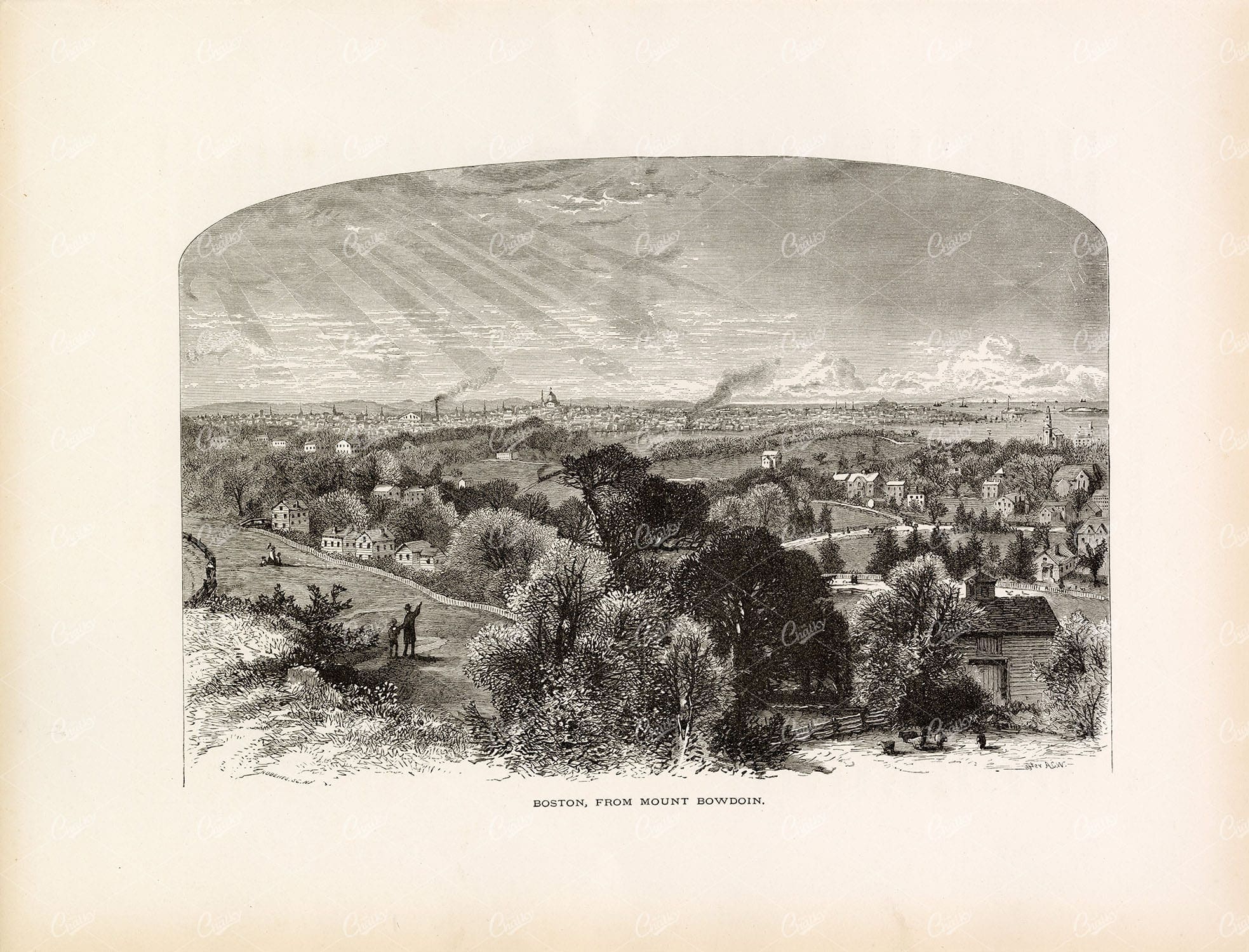 VIEW OF BOSTON - From Mount Bowdoin - 1874 Landscape Engraving