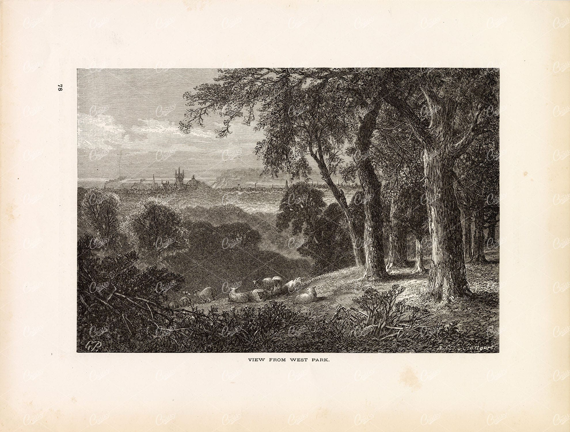 PHILIDELPHIA, City View from West Park with Sheep, Trees - 1874 Engraving