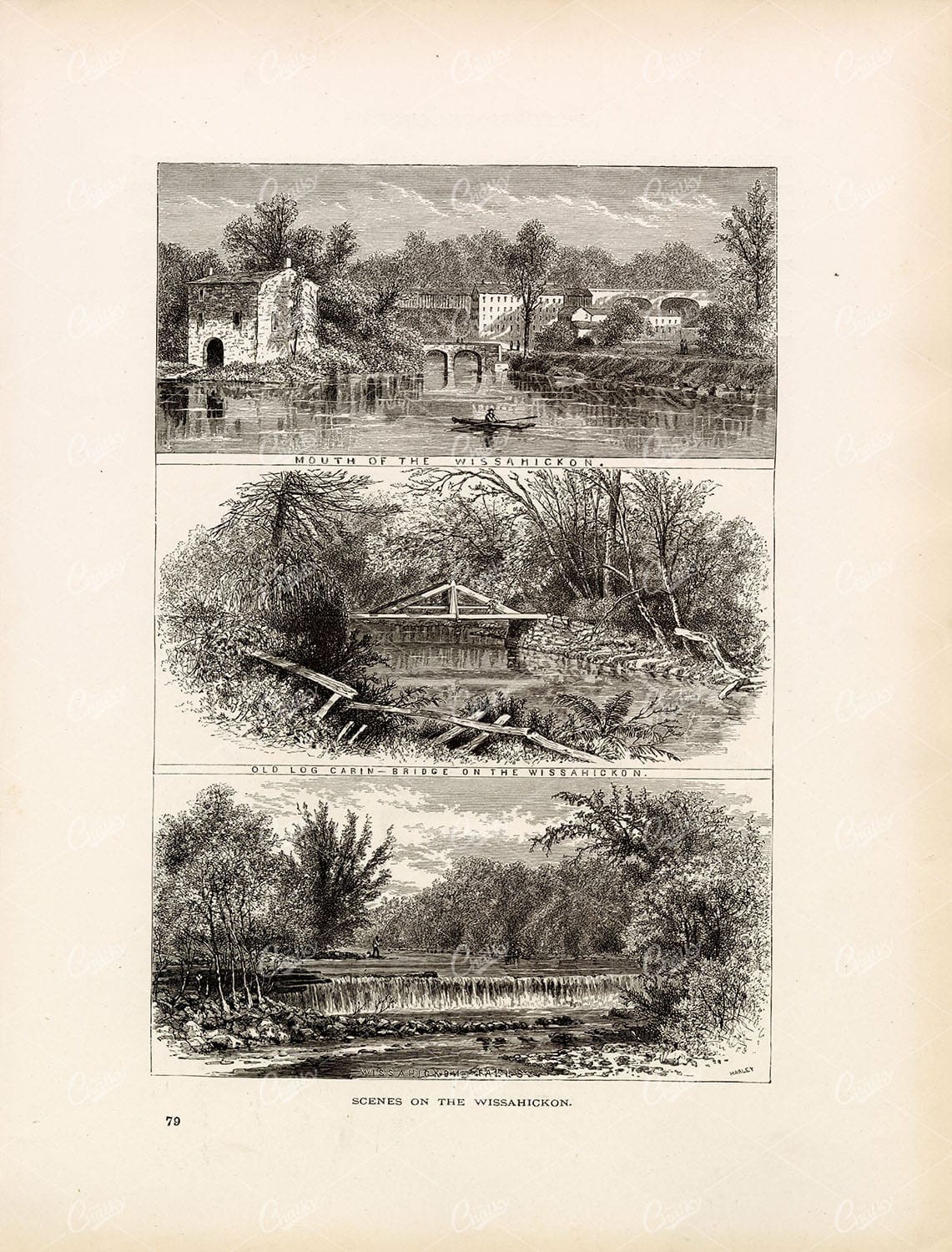 WISSAHICKON Creek - Philidelphia - Antique American Engraving 1874