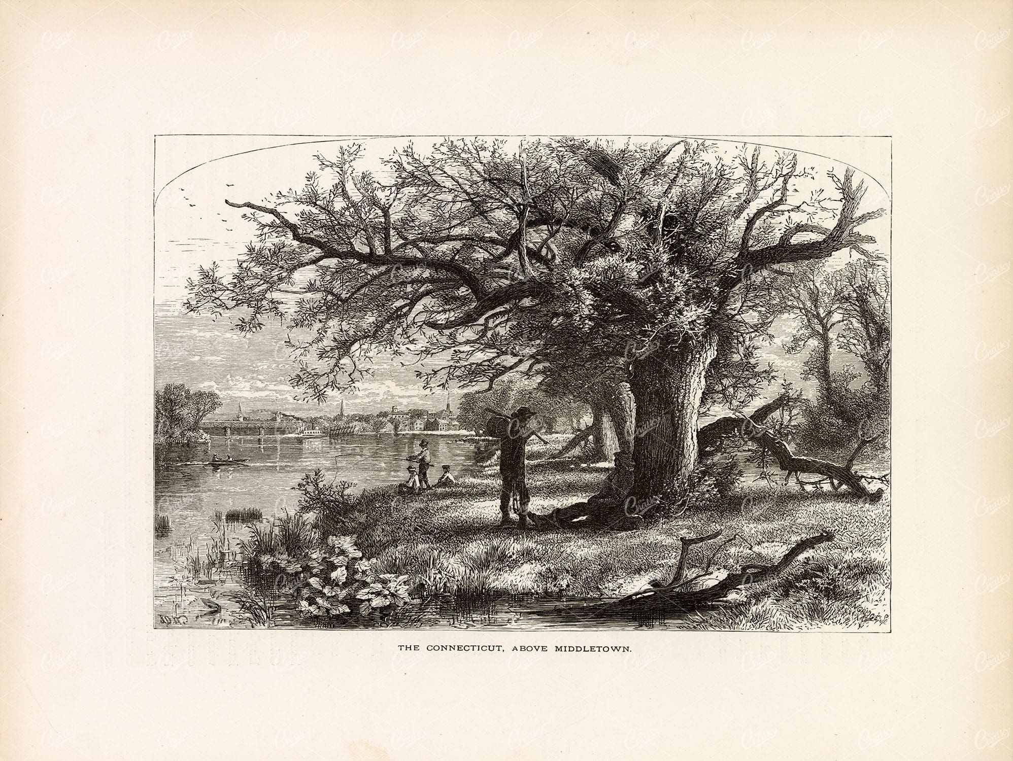 THE CONNECTICUT River, Above Middletown - Antique Wood Engraving