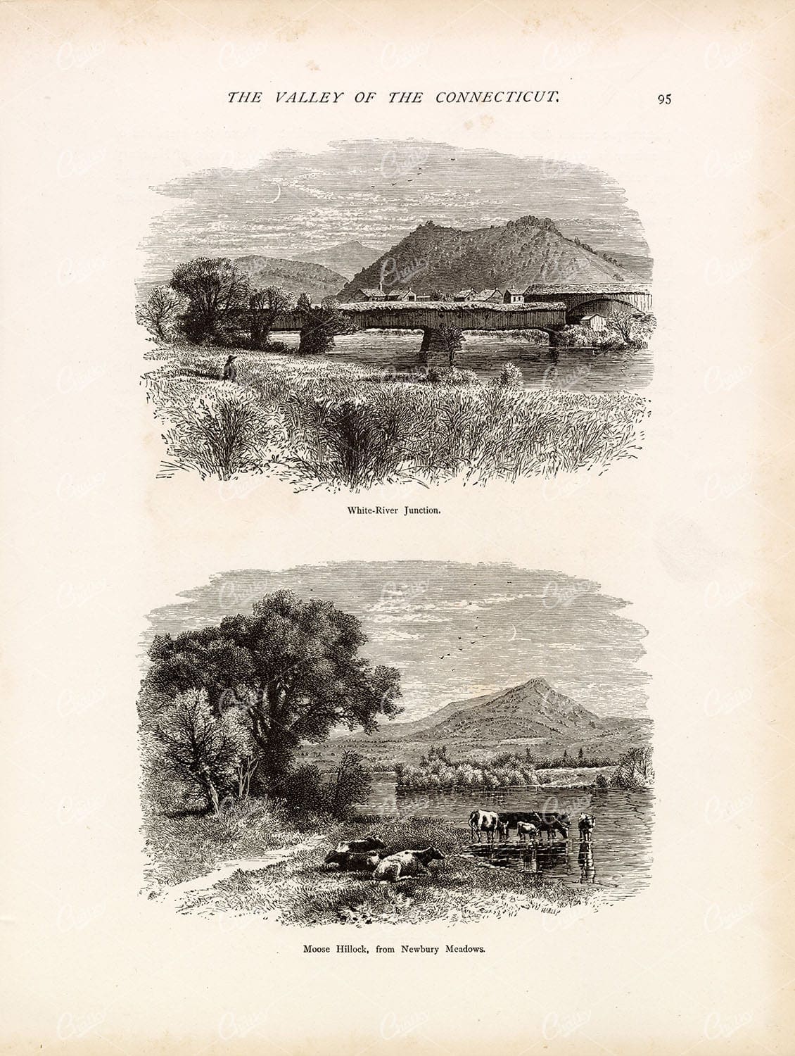 VALLEY OF CONNECTICUT - White River Junction & Moose Hillock - 1874