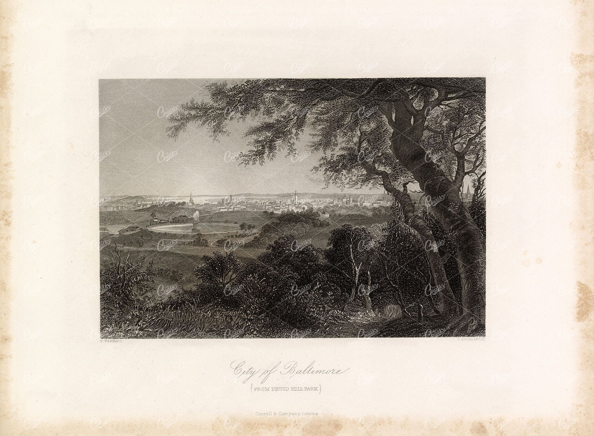 CITY OF BALTIMORE - View from Druid Hill Park - Antique Engraving 1874