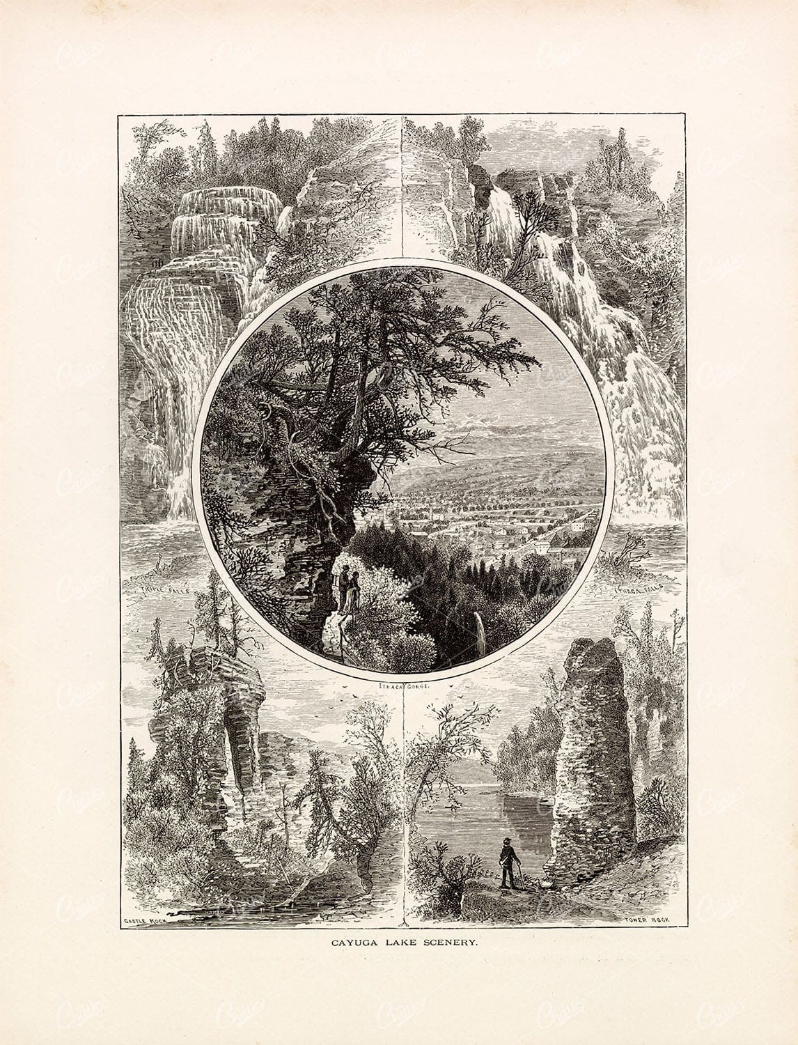 ORIGINAL Antique Print 1874 Cayuga Lake Scenery, Gorge Mountains