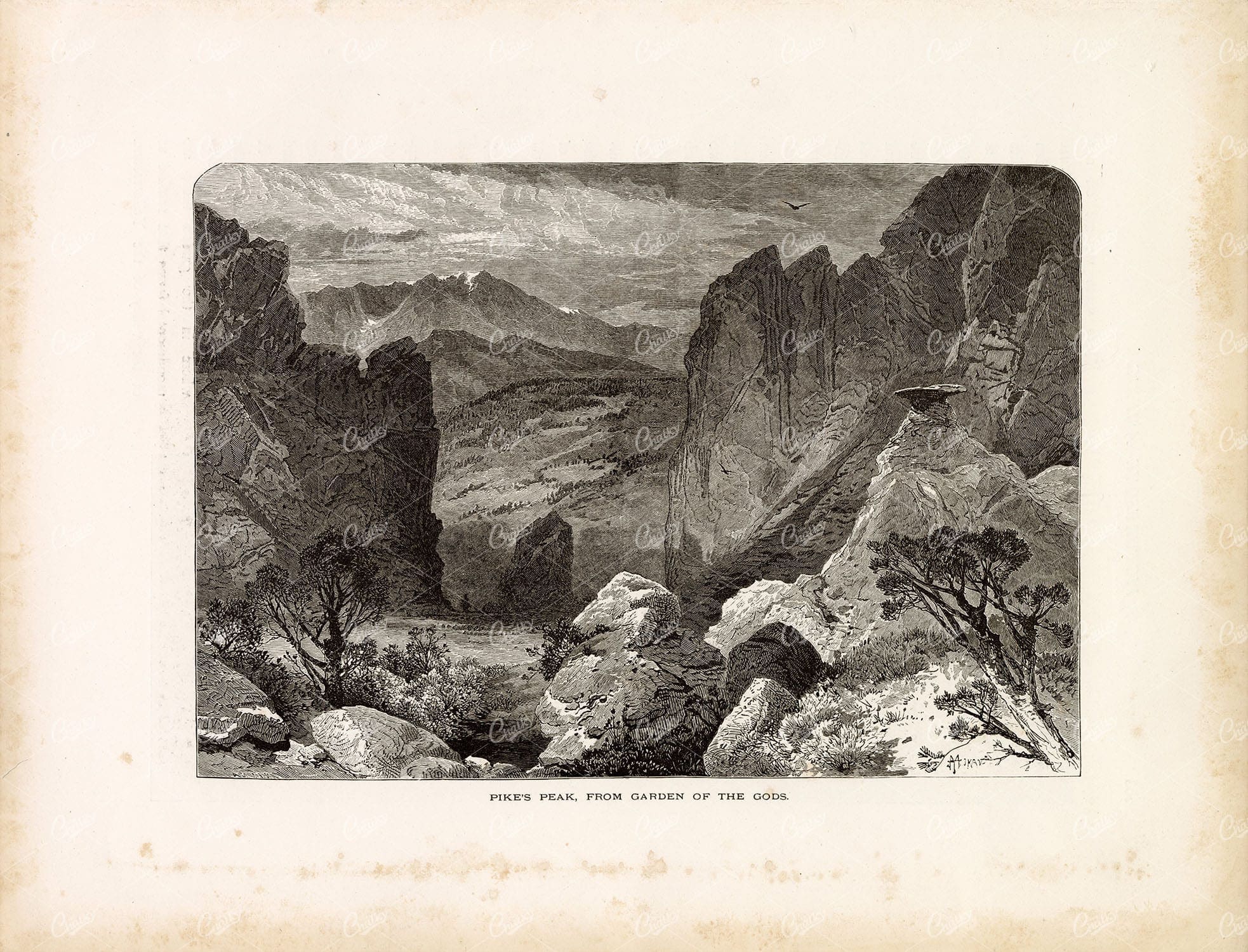 COLORADO Springs - Pike's Peak from Garden of the Gods - Original Print
