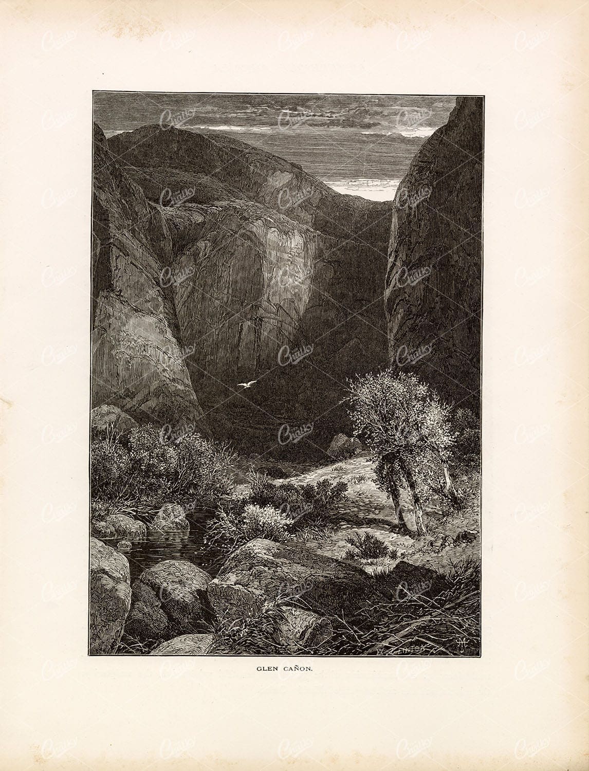 VIEW OF GLEN CANYON, Colorado River - Antique Original Print 1874
