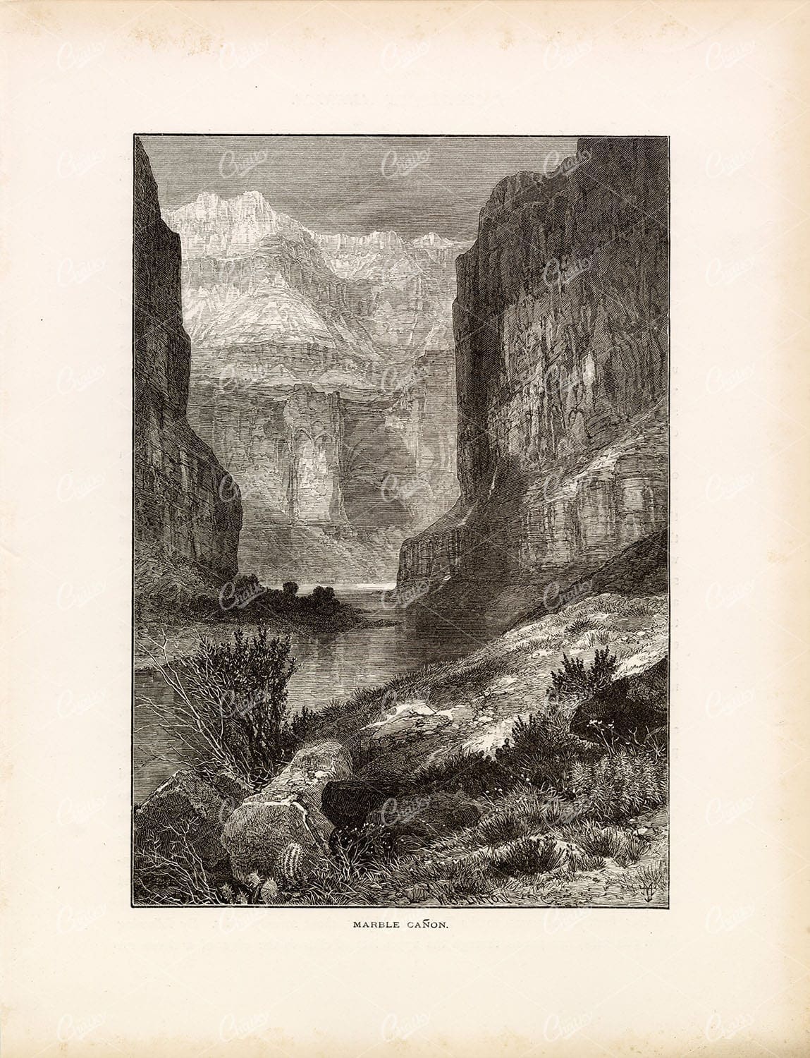 ARIZONA, Grand Canyon - View of Marble Canyon - Antique Original Print