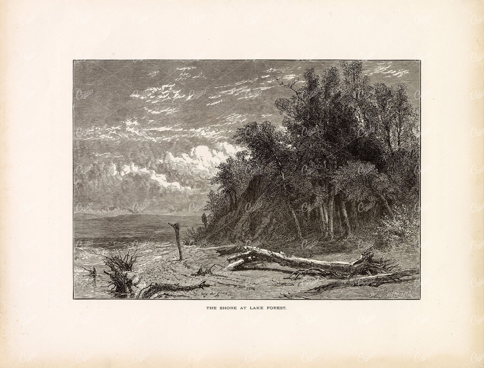 LAKE MICHIGAN, IL, The Shore at Lake Forest - Original Antique Print