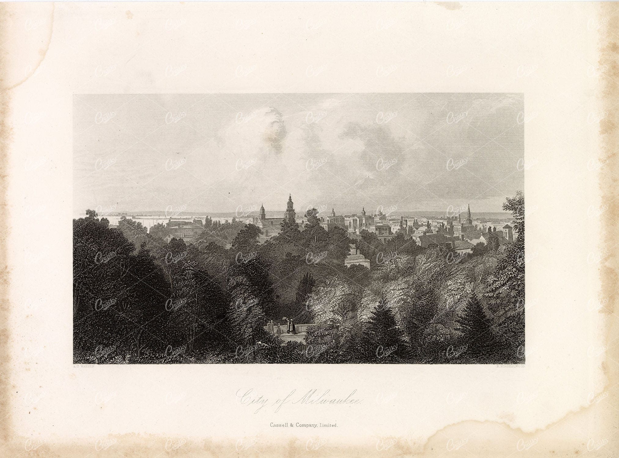 CITY OF MILWAUKEE - Picturesque View over Trees - Original Antique 1874