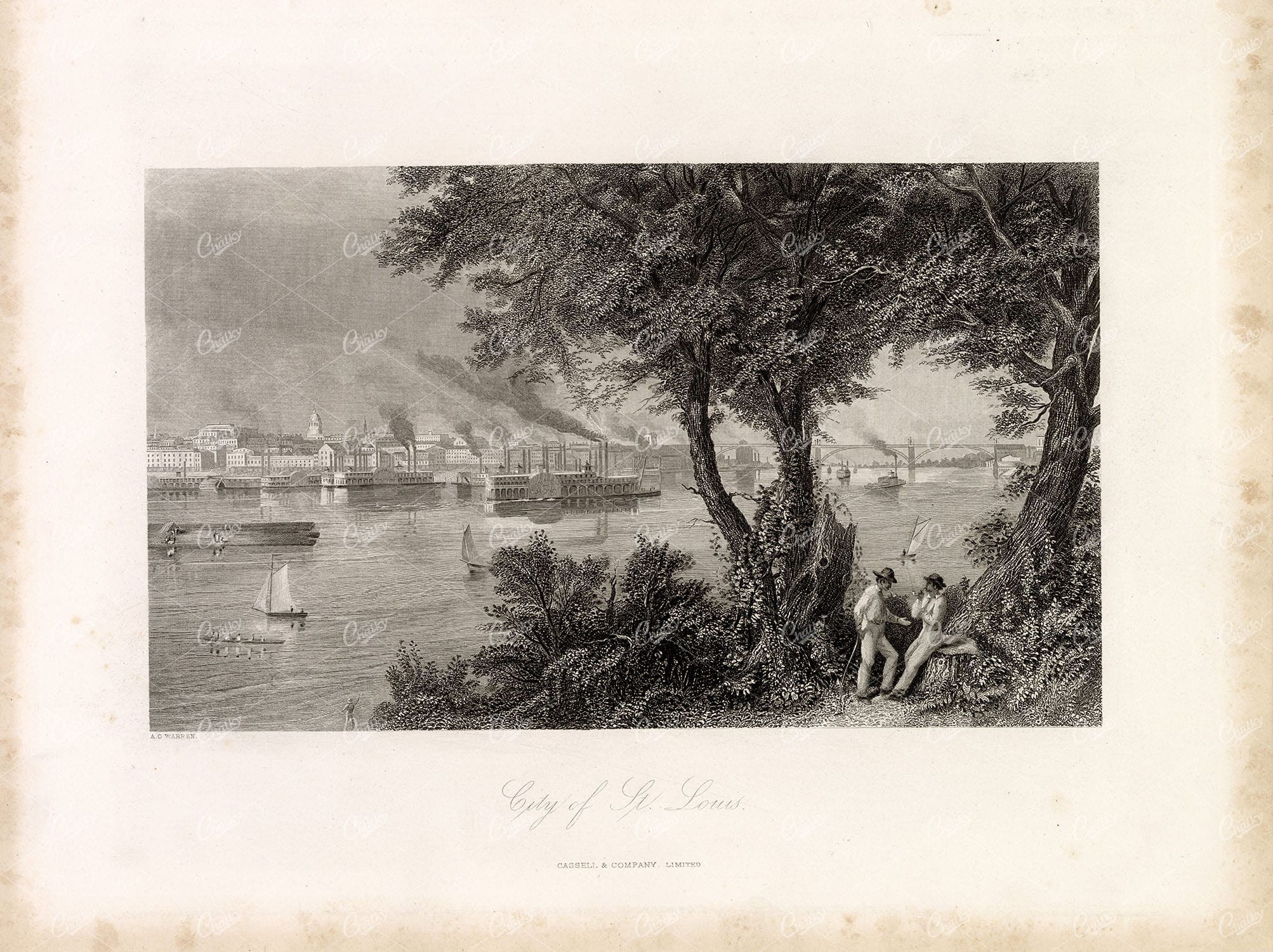 CITY OF ST. LOUIS - Beaitifully Picturesque Original Antique Print 1874
