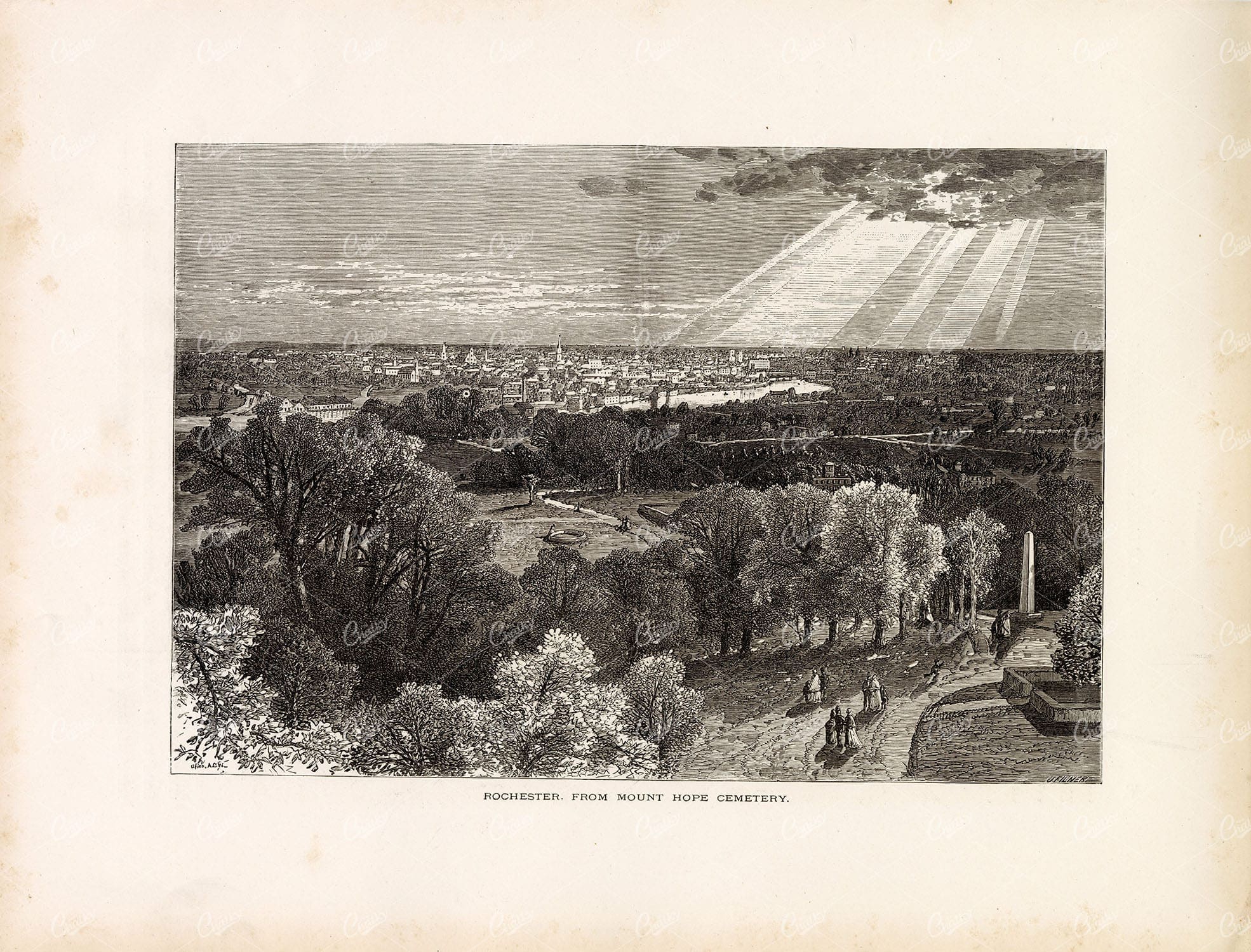 NEW YORK STATE - View of Rochester from Mount Hope Cemetery - 1874 Print
