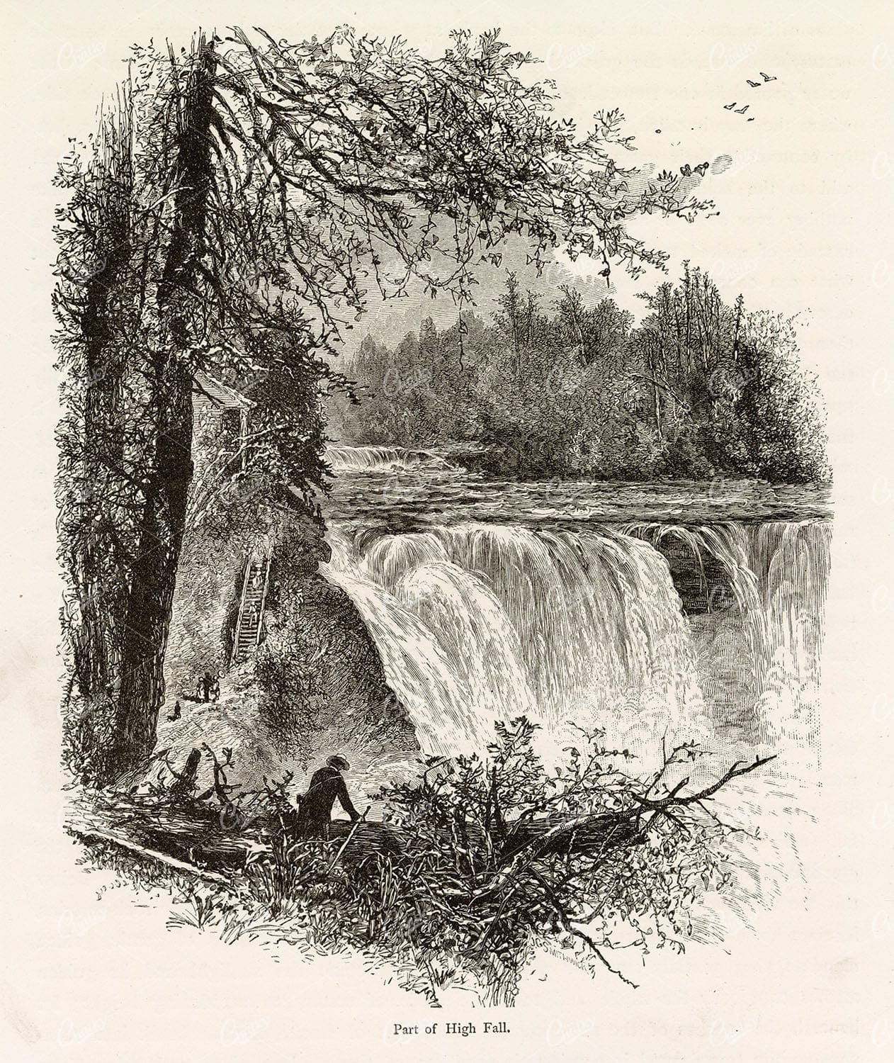 NIAGARA Falls - Part of High Fall - Picturesque America Wood Engraving 1874