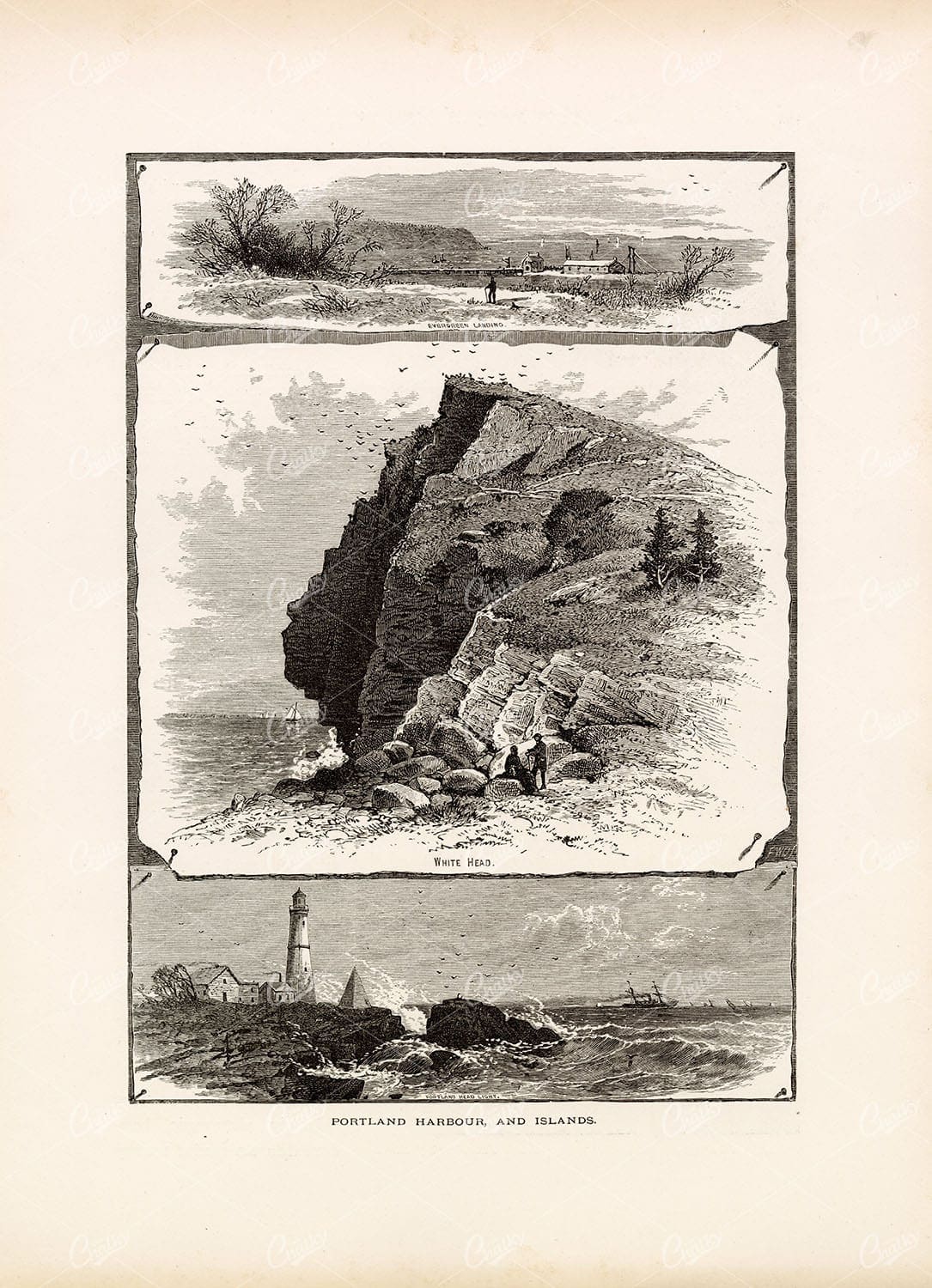 PORTLAND Harbour and Islands - Original American Antique Print 1874