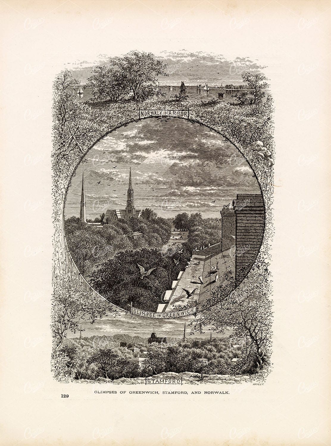 NORWALK Harbor, Greenwich, and Stamford - American Antique Print 1874