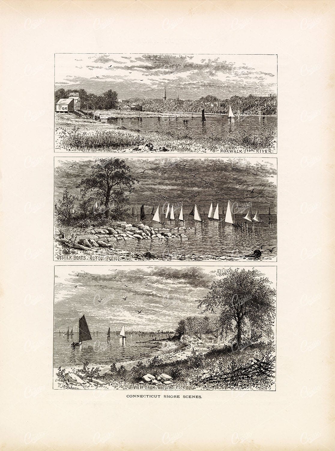 CONNECTICUT Shore Scenes - Oyster Boats, River, Wilson's Point 1874