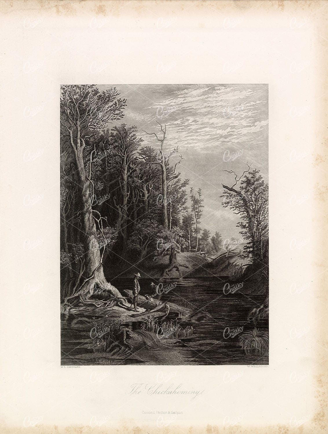 1874 ANTIQUE PRINT - Chickahominy River, Virginia, Steel Engraving