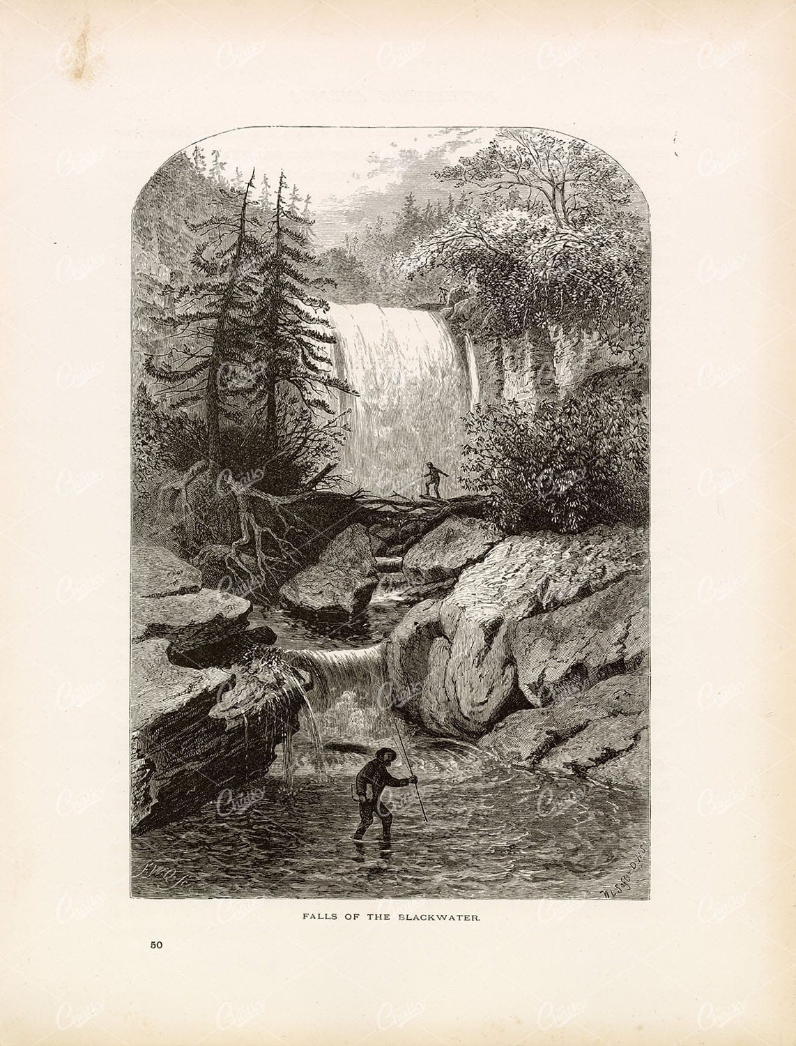WEST VIRGINIA, US - Falls of the Blackwater - Antique Original Print 1874