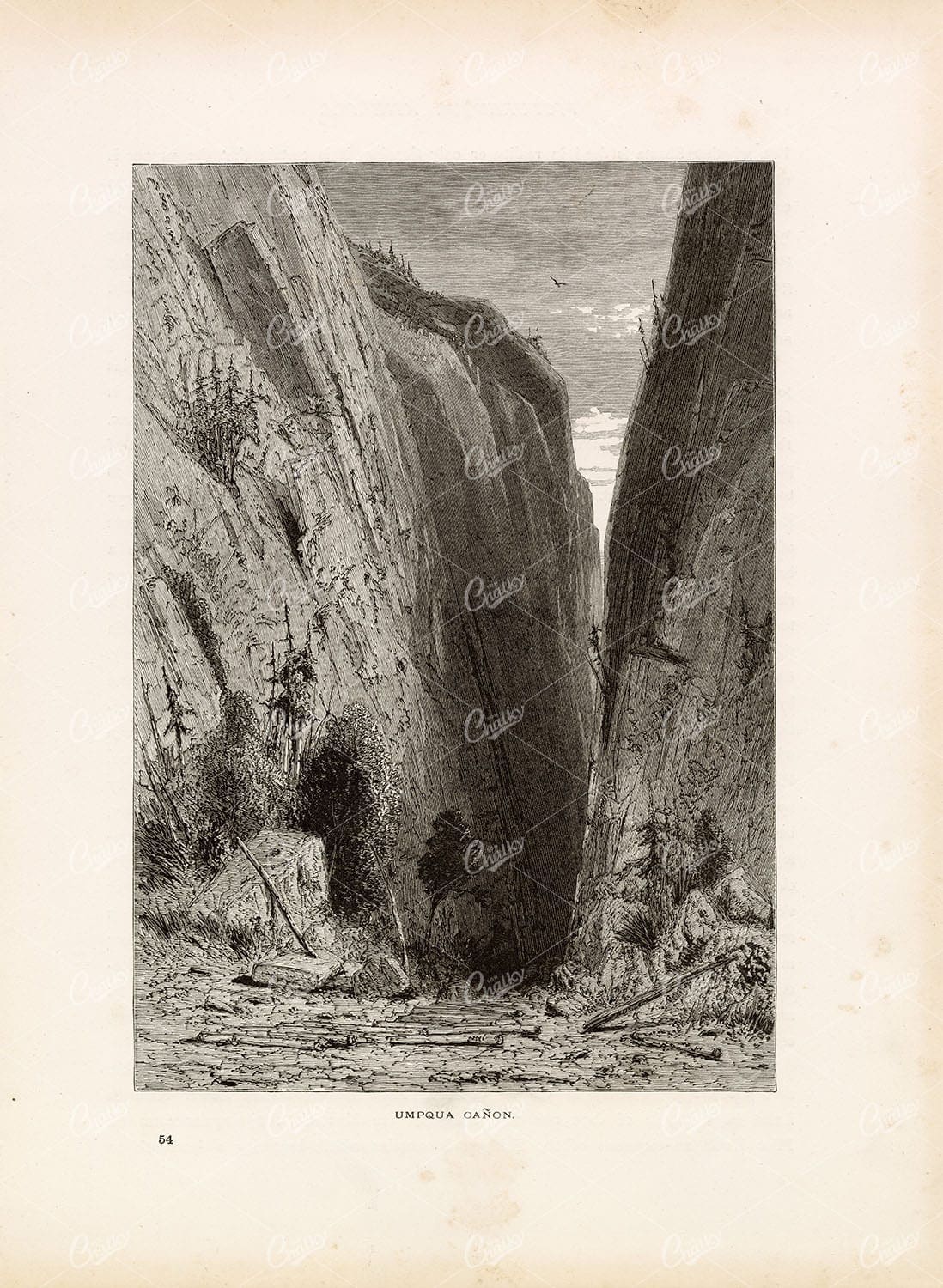 CANYON of the Umpqua River, Oregon, USA - Old 1874 Original Print