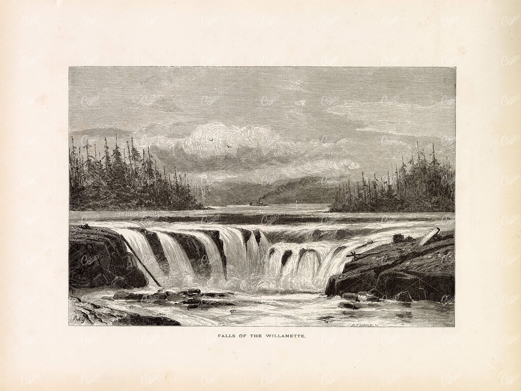 WILLAMETTE FALLS - Oregon, America - Original Antique Engraving 1874