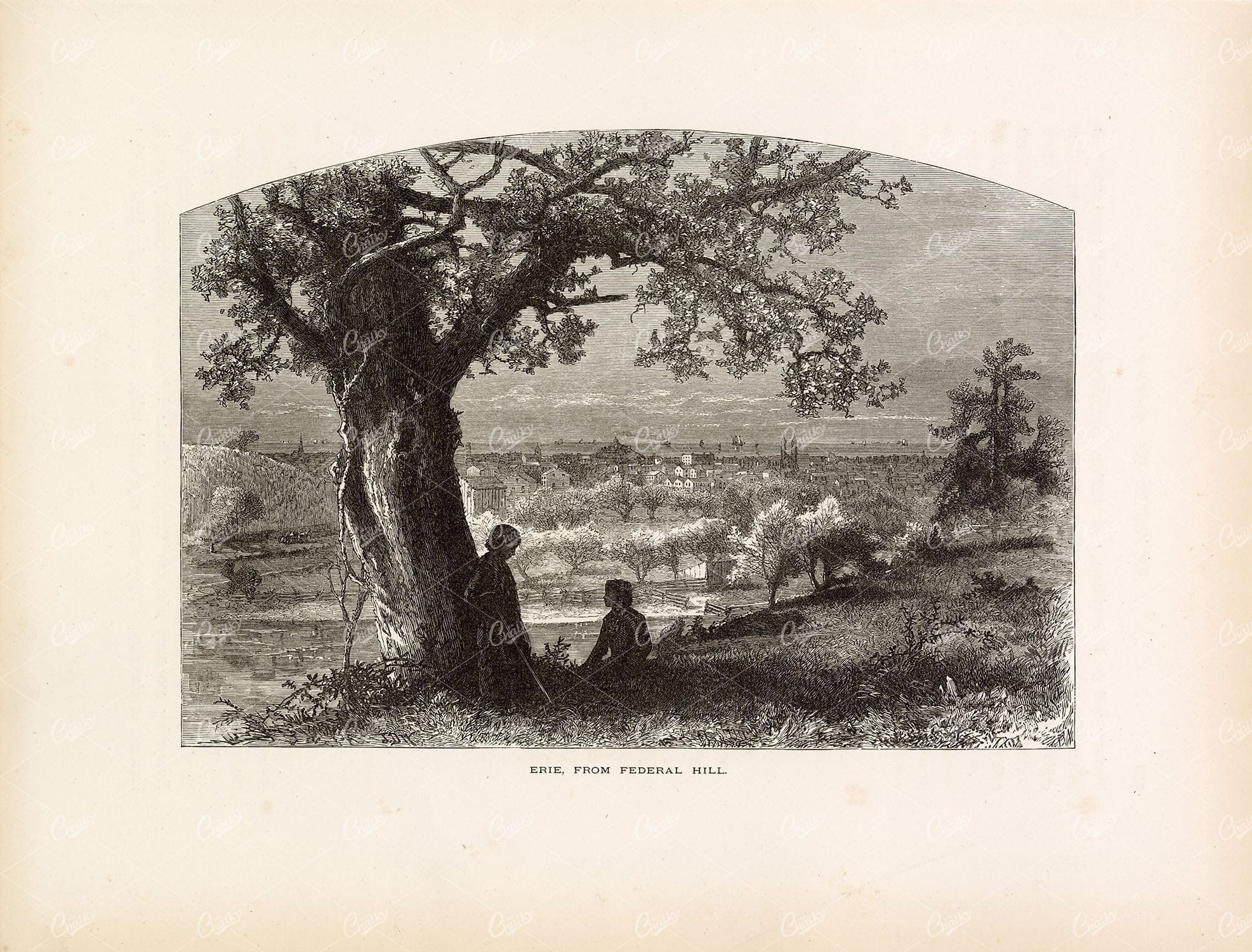 PENNSYLVANIA - View of Erie from Federal Hill - Antique 1874 Print