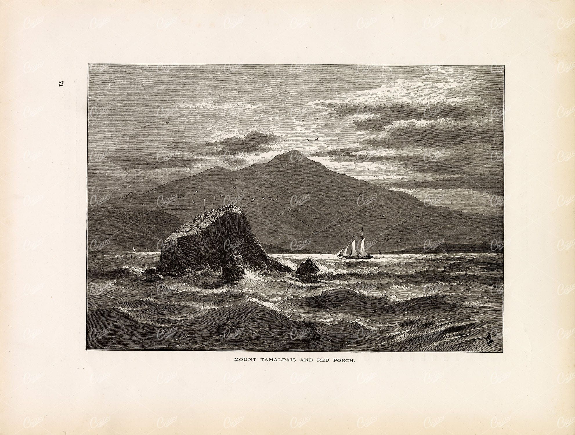 MARIN COAST, CAL - Mount Tamalpais and Red Porch - 1874 Antique Print