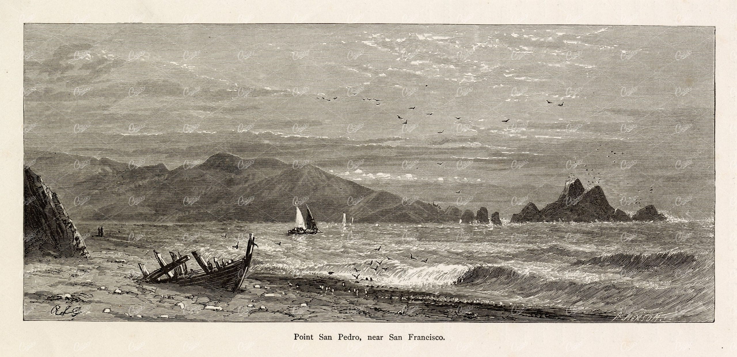 SAN FRANCISCO - Point San Pedro - Sea Scape with Sailboat - America 1874