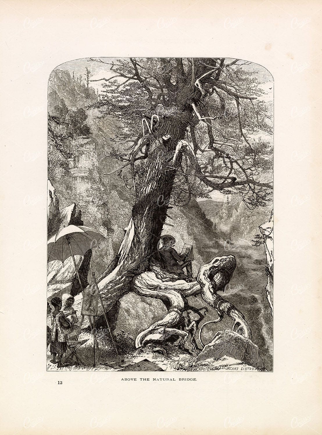 VIRGINIA - Artist Sketching Above Natural Bridge - 1874 Antique Print