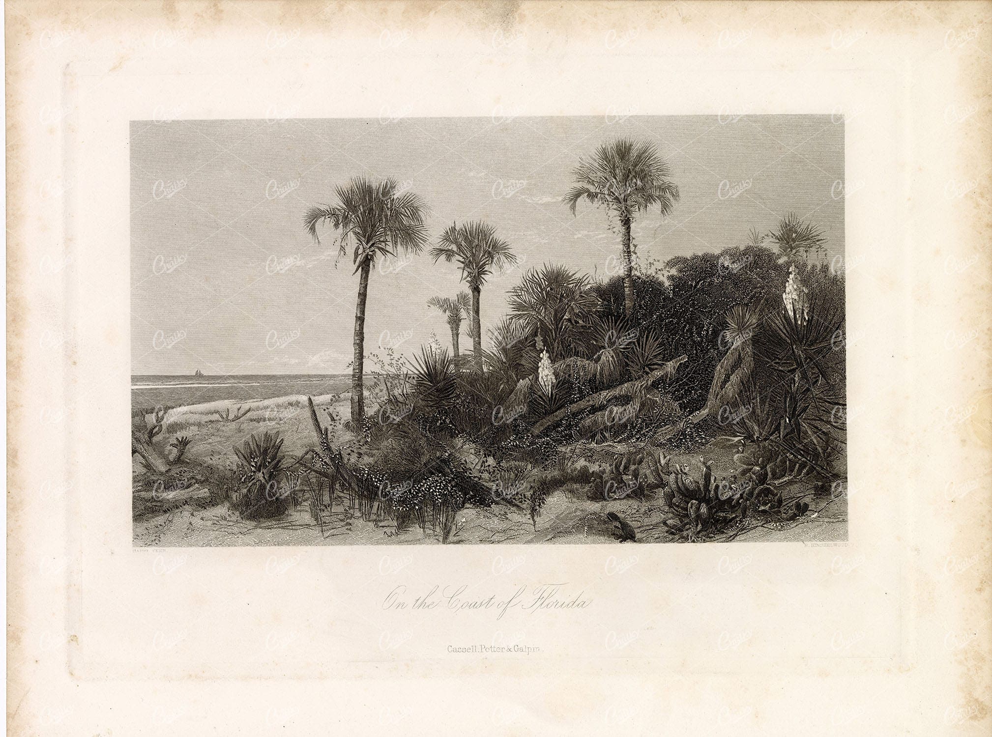 THE COAST OF FLORIDA - Antique Coastal Steel Engraving Print 1874