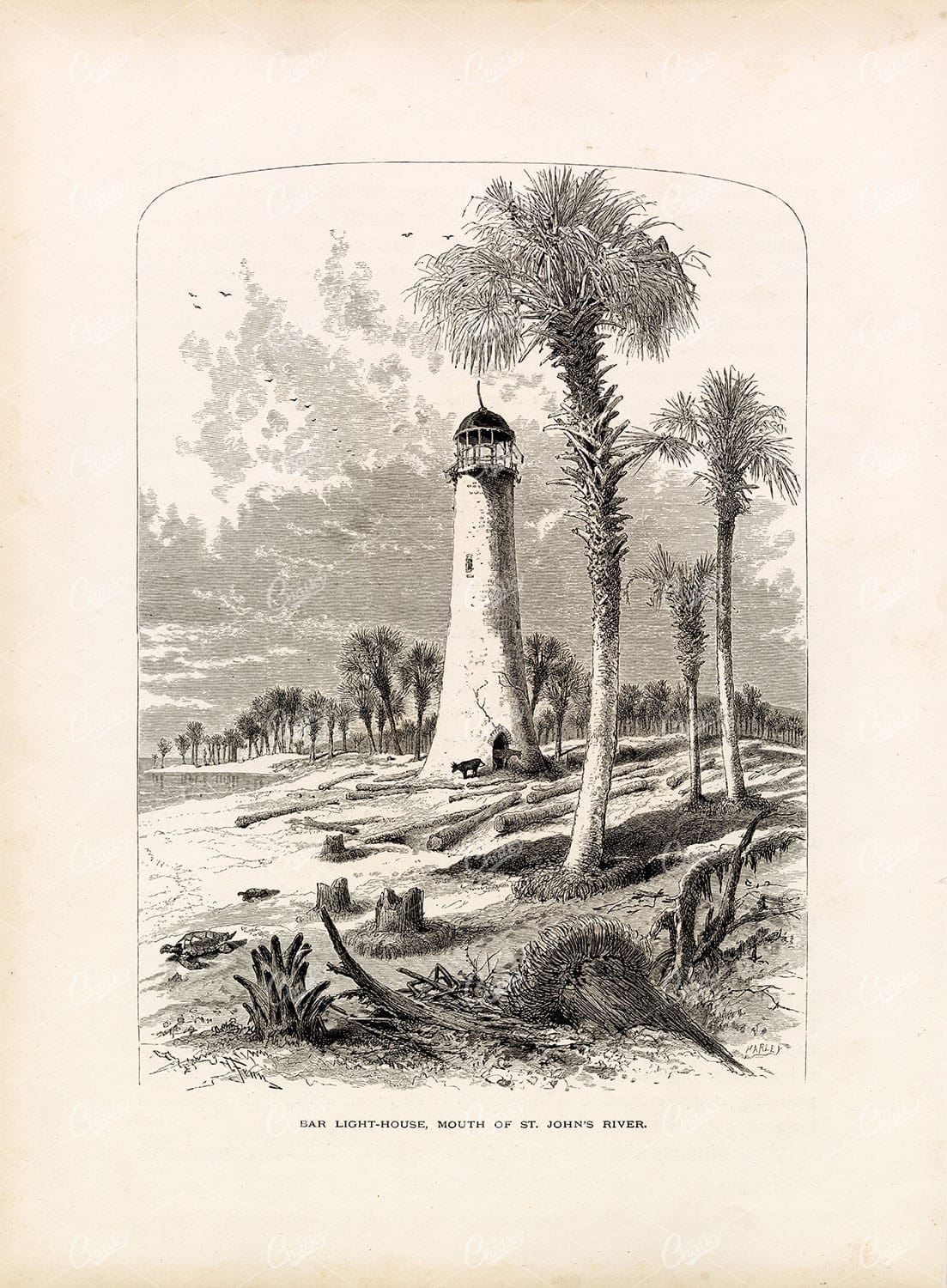 FLORIDA - Bar Lighthouse, Mouth of St. John's River - Antique Print