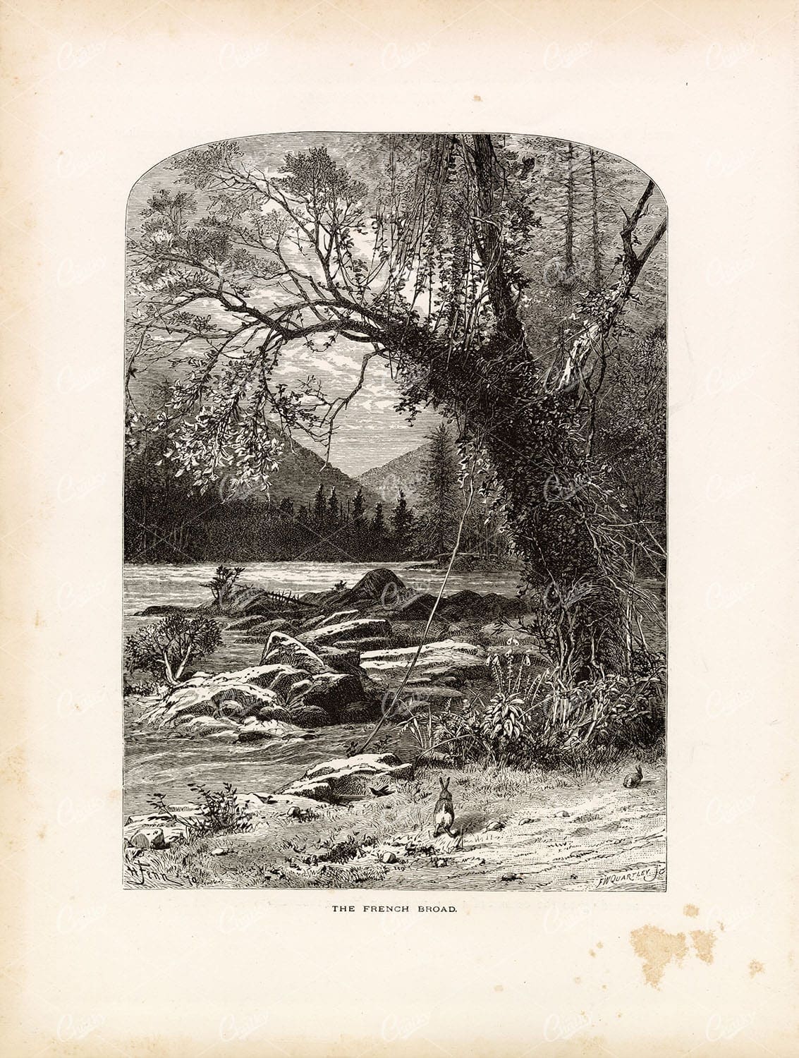 TRANSYLVANIA COUNTY, North Carolina - The French Broad River Old Print