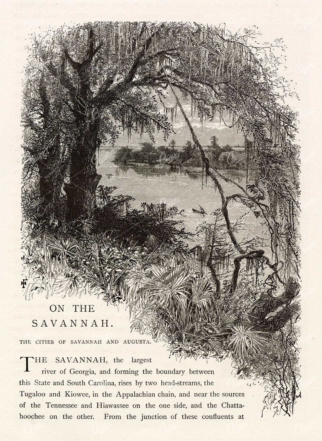 GEORGIA - On the Savannah River - Picturesque Engraving 1874