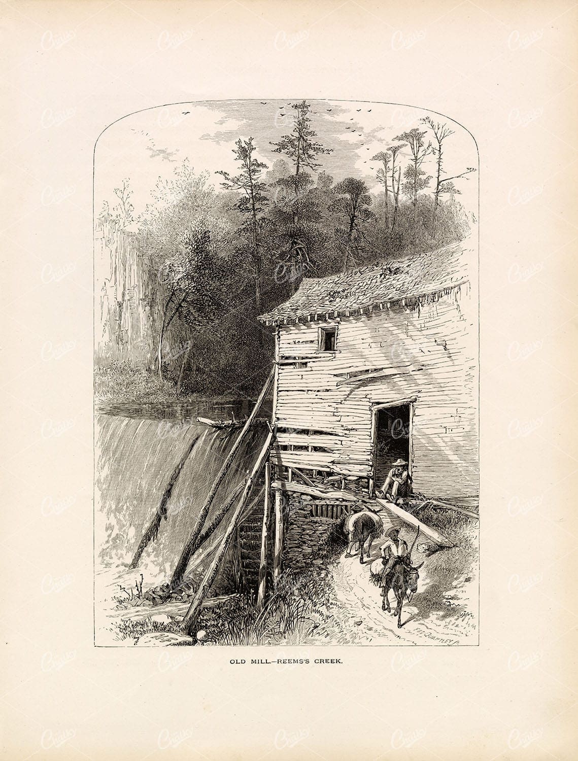 WATER MILL on Reem's Creek - North Carolina - Original Antique Print