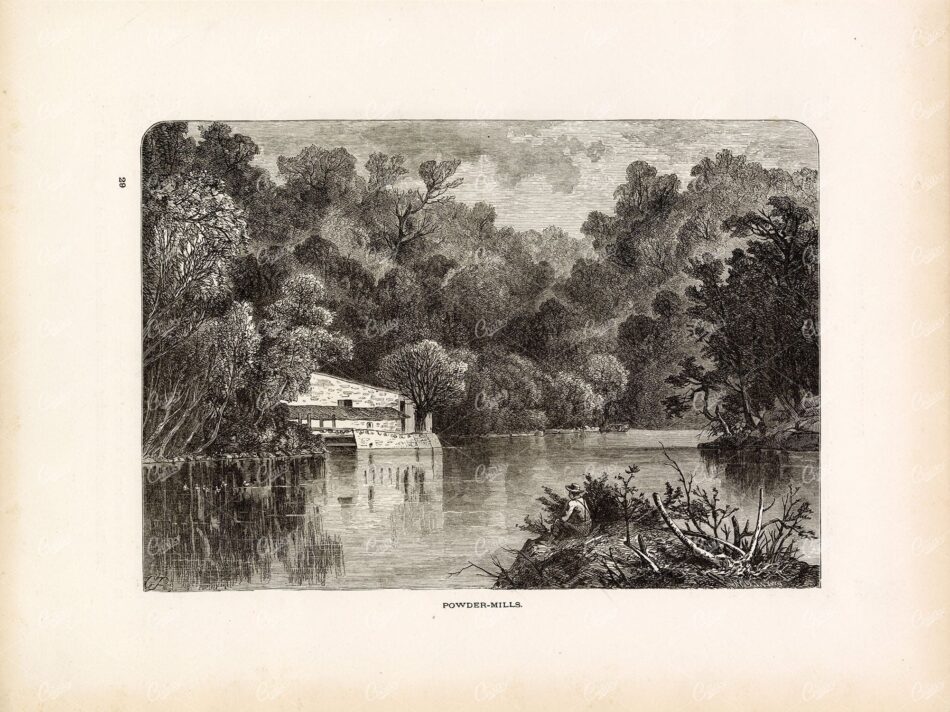 DELAWARE, Brandywine Creek - Powder Mills - 1874 Antique Print
