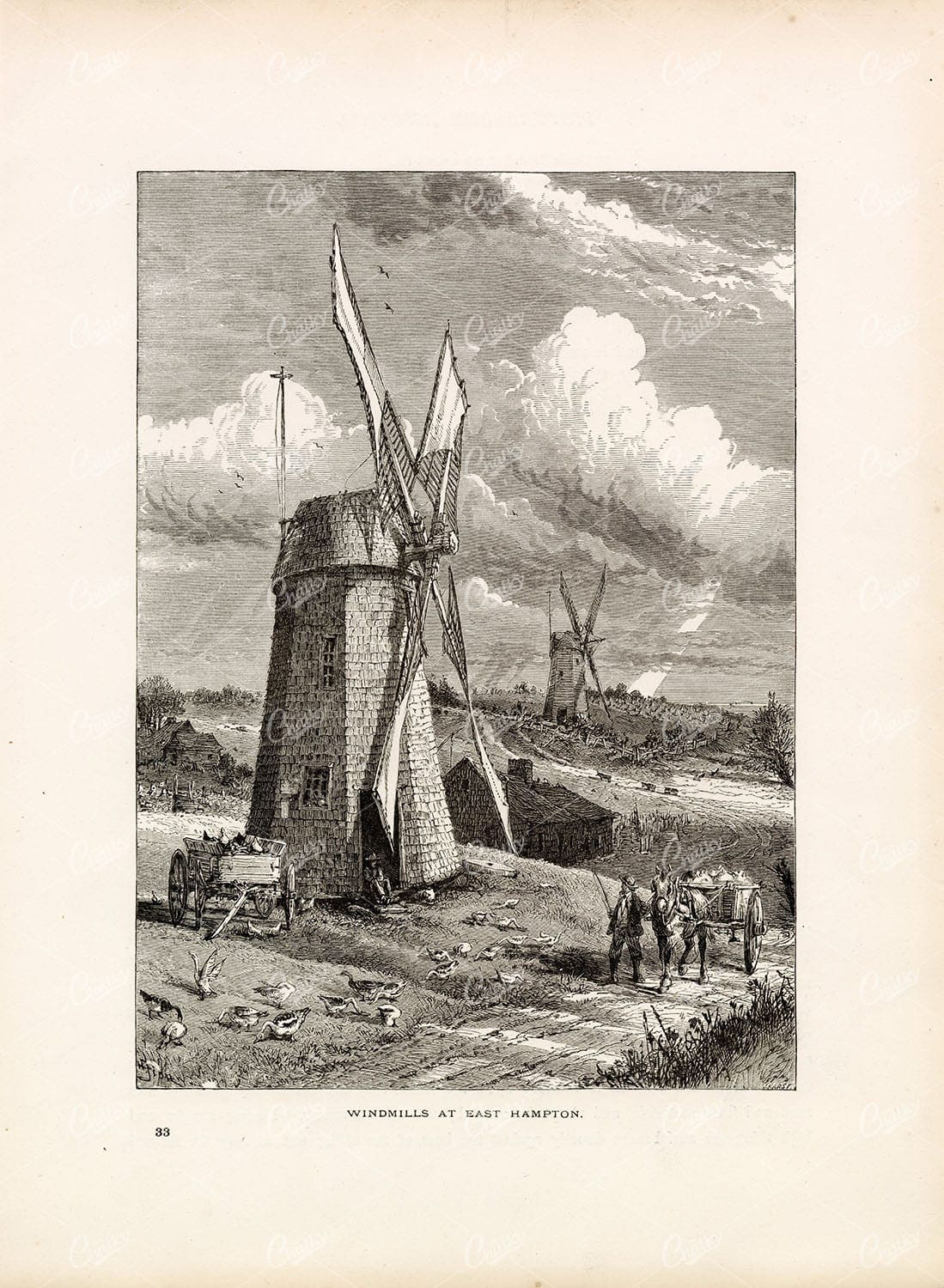 WINDMILLS at East Hampton - Antique American Landscape Print 1874