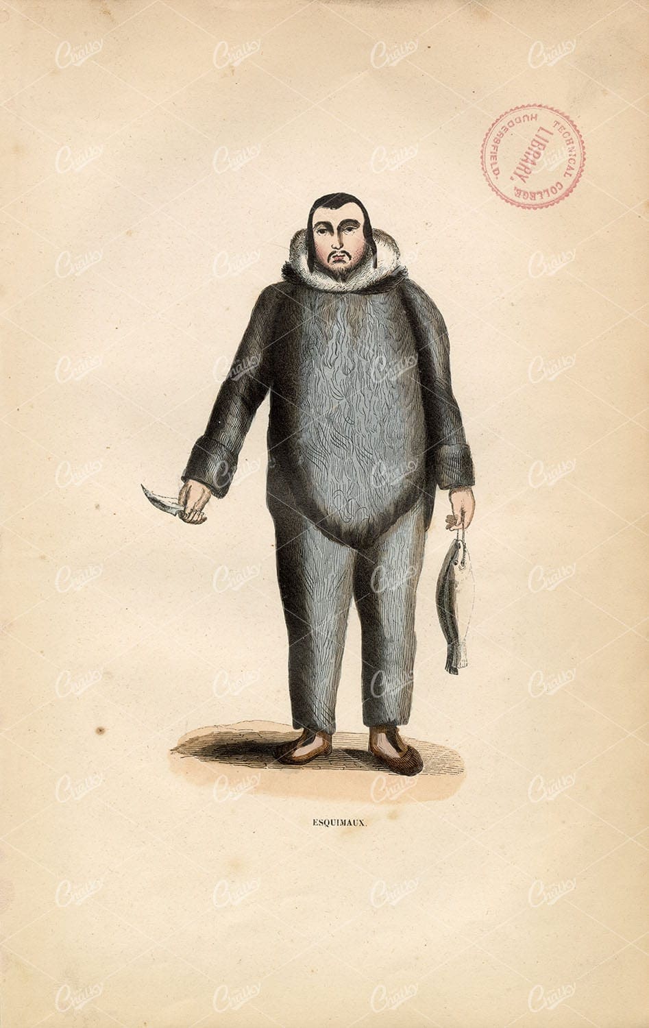 ESKIMO MAN Holding Fish - Handcoloured Antique Print - Auguste Wahlen