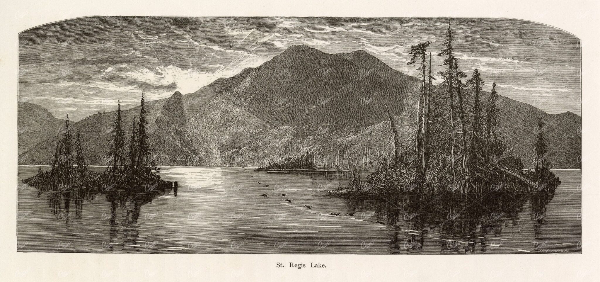 ST. REGIS Lake in the Adirondack Mountains, NEW YORK, America - 1874