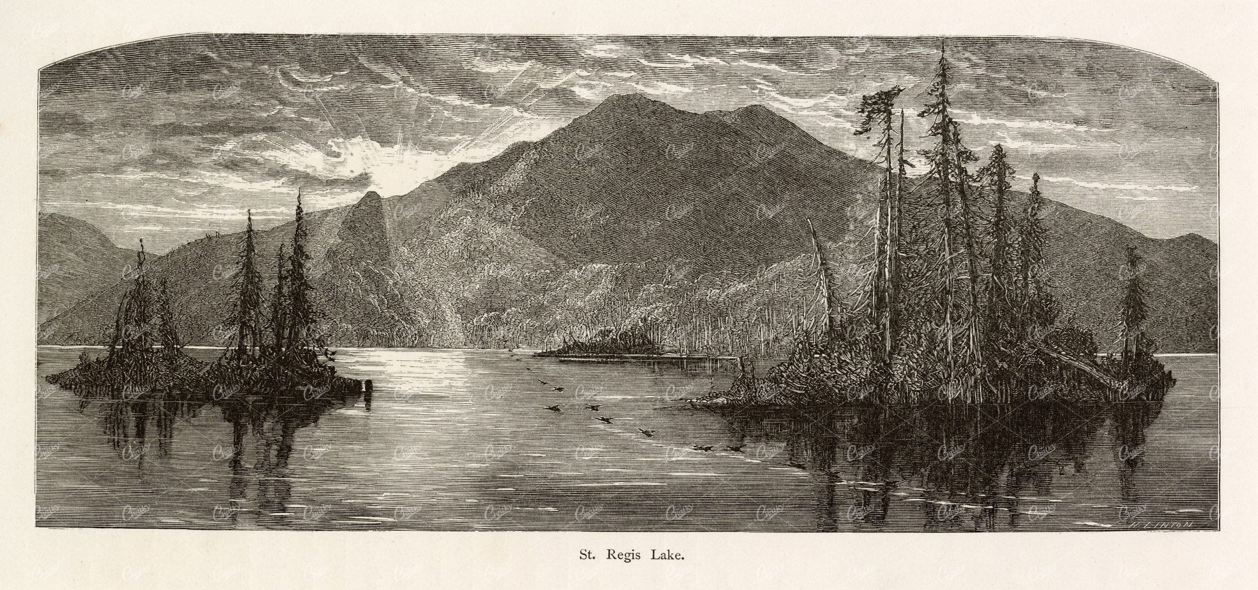 ST. REGIS Lake in the Adirondack Mountains, NEW YORK, America - 1874