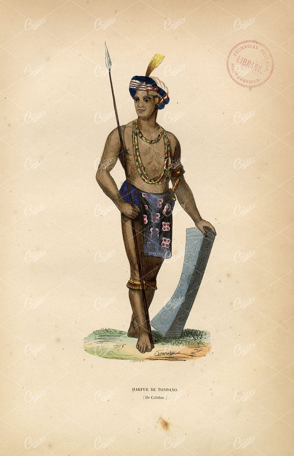 INDONESIA - Tordano Man in Native Costume / Fashion Handcoloured Print