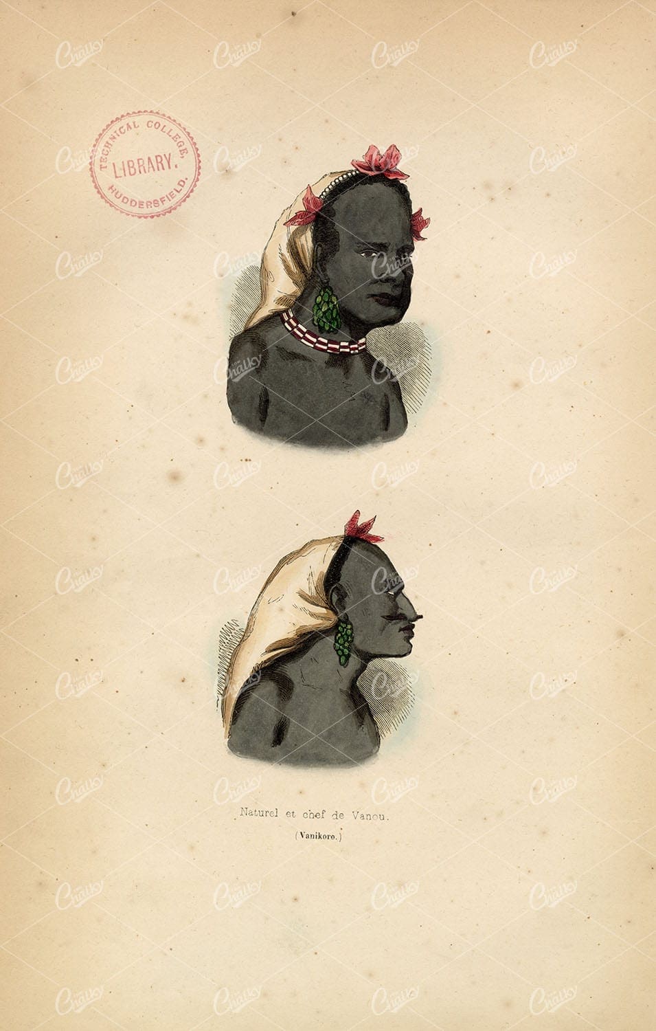 MELANESIAN Chief and Man of Vanou, Vanikoro, Solomon Islands 1843 Print