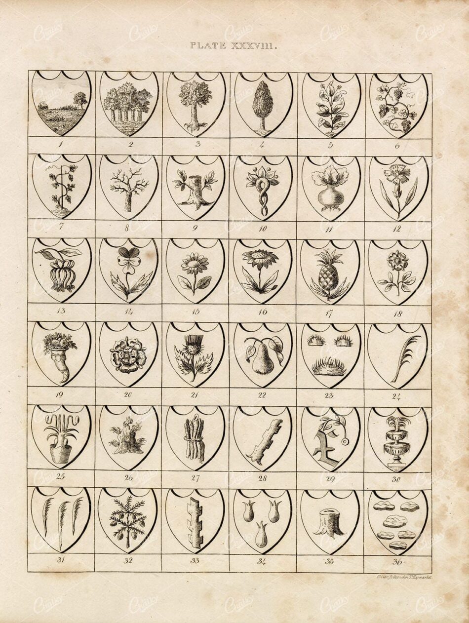 ANTIQUE HERALDRY Print by William Berry - Plate XXXVIII Charges 1829